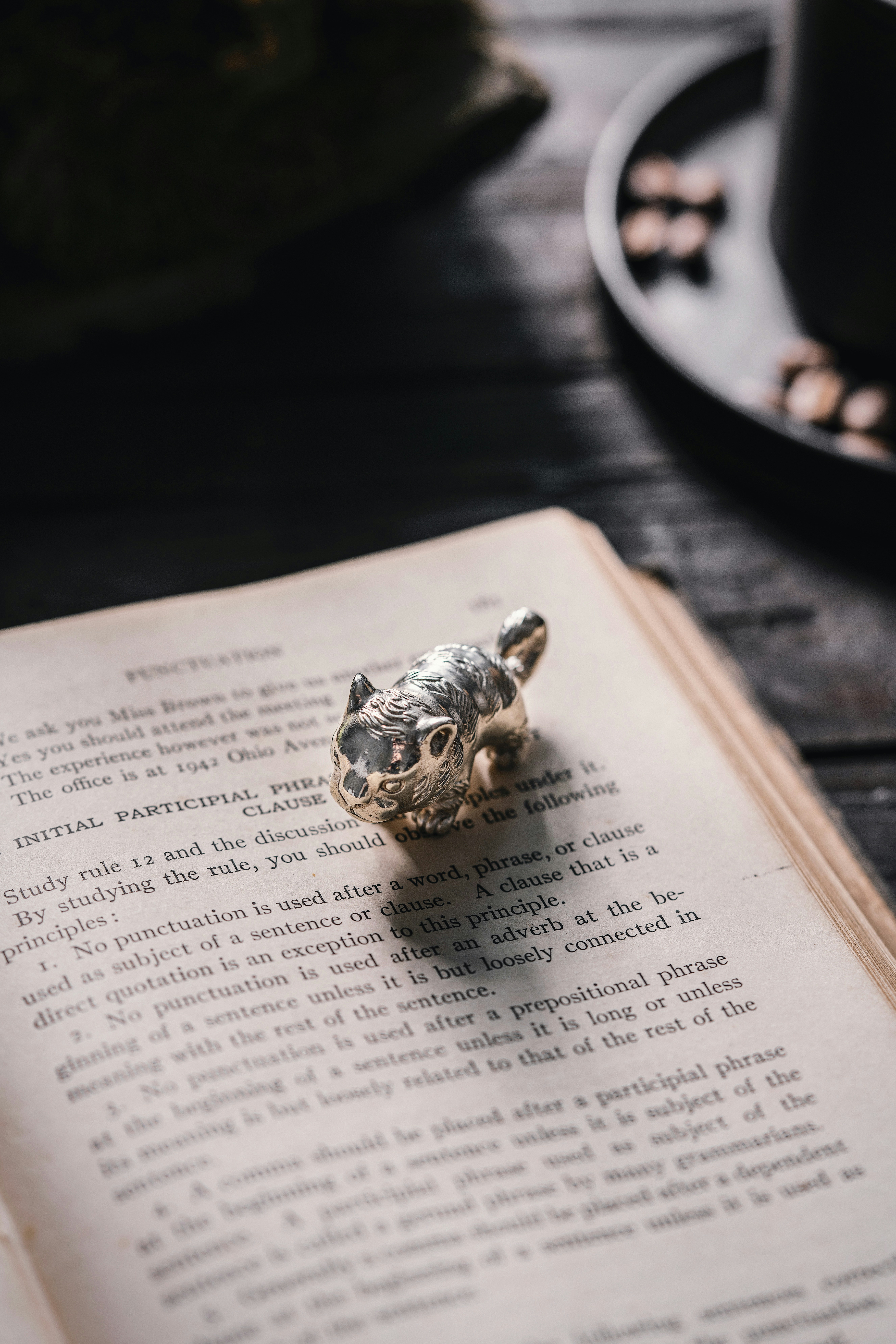 Photo by coppertistwu