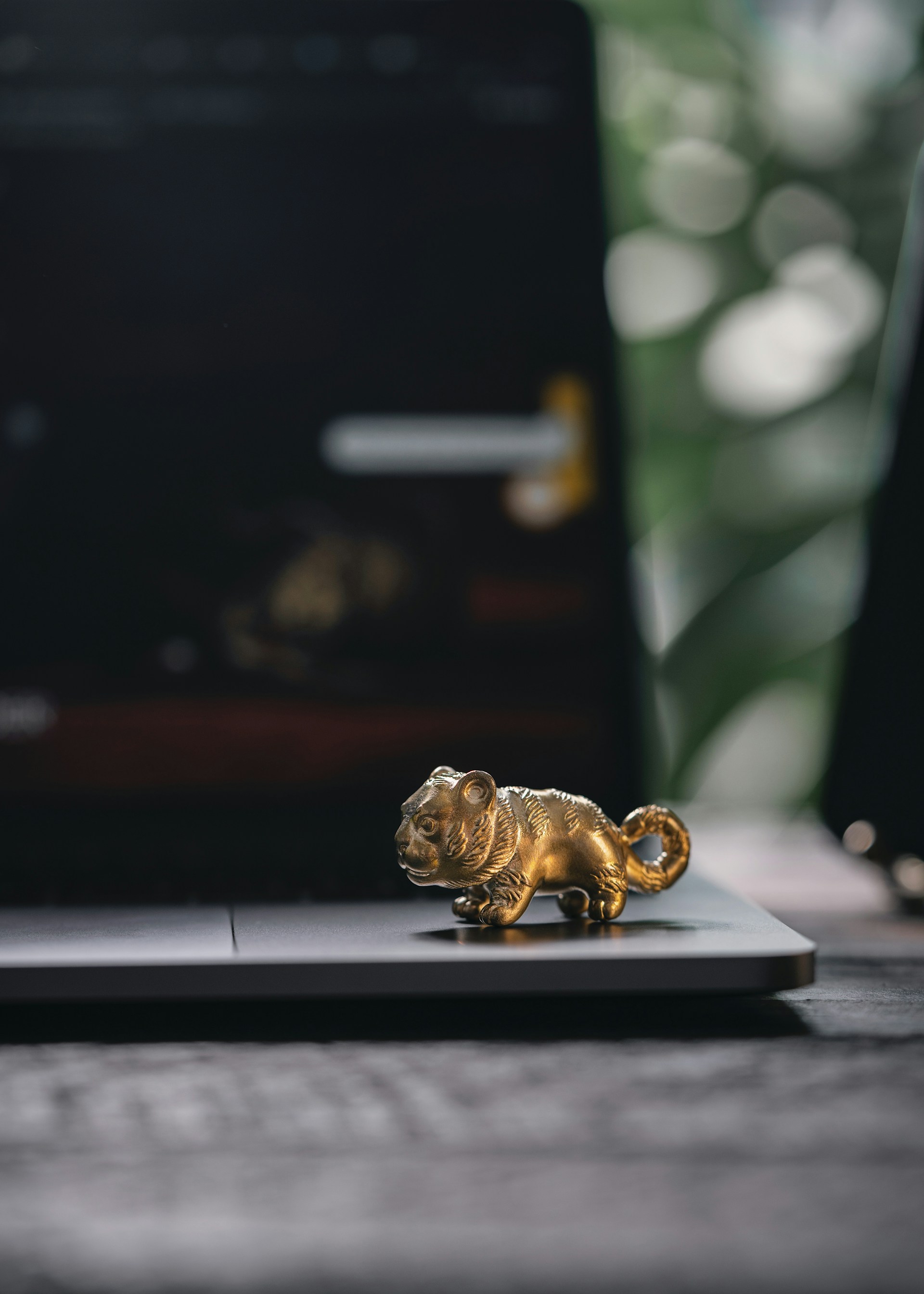 woman wearing yellow long-sleeved dress under white clouds and blue sky during daytime