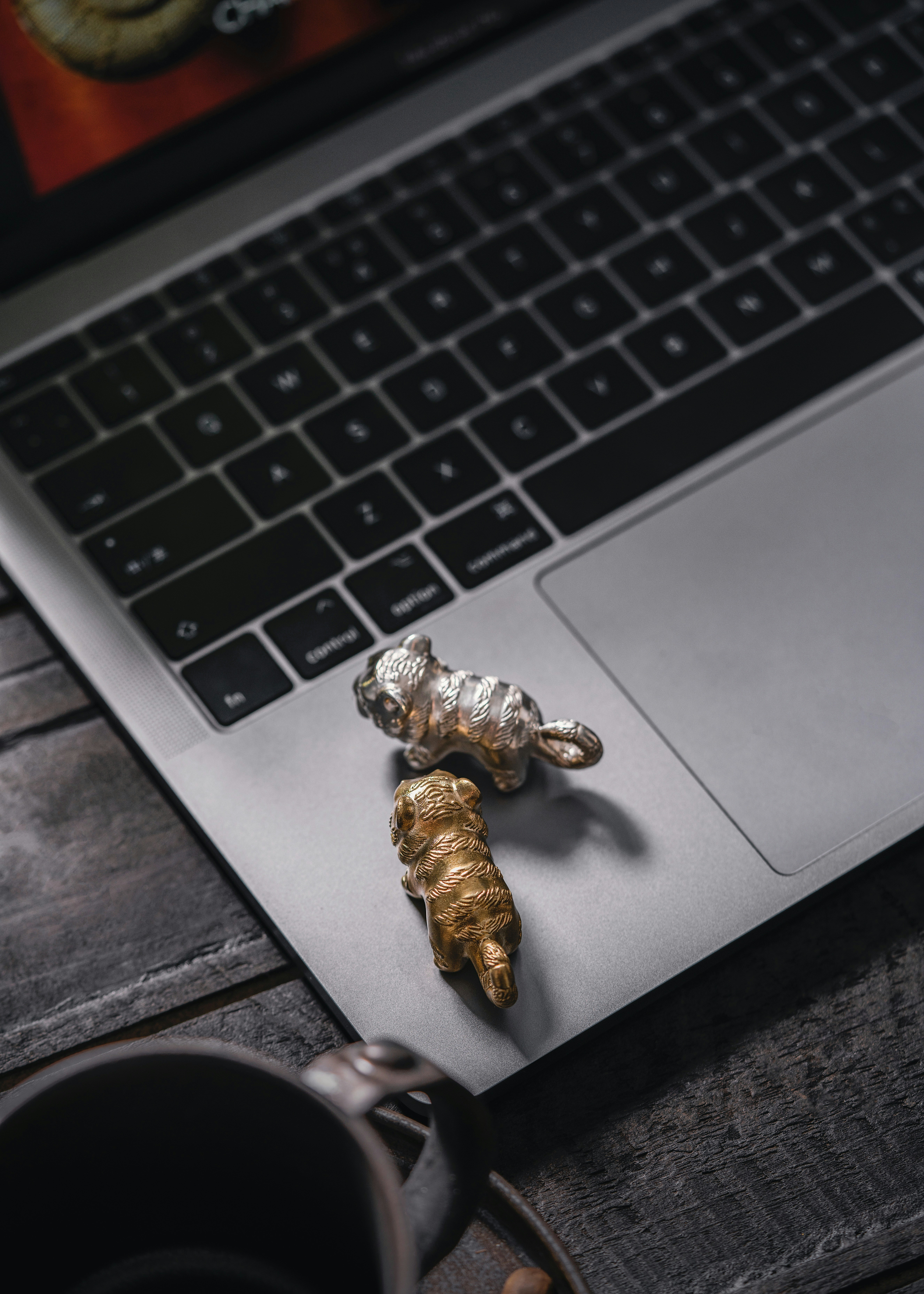 Photo by coppertistwu