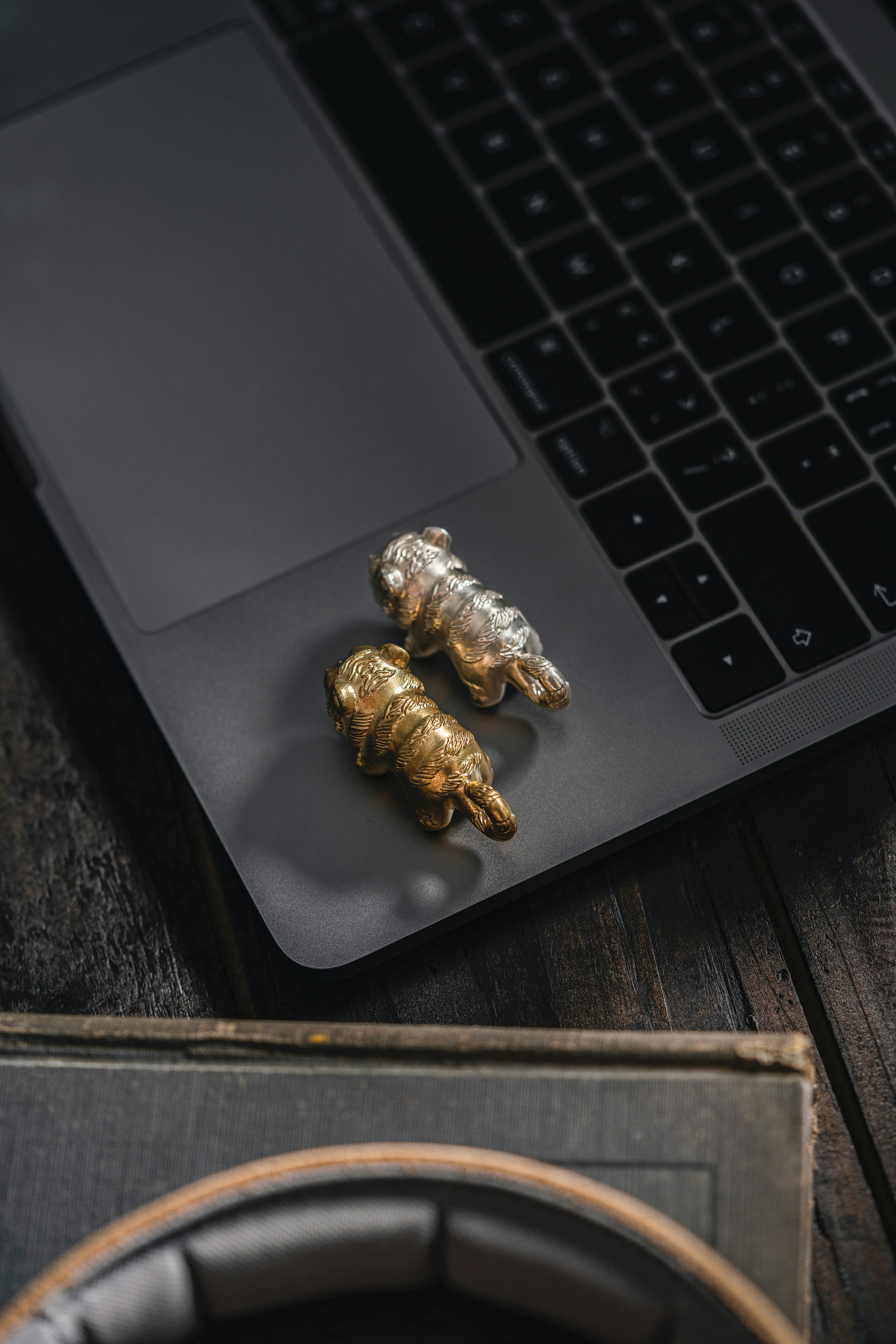 Photo by coppertistwu