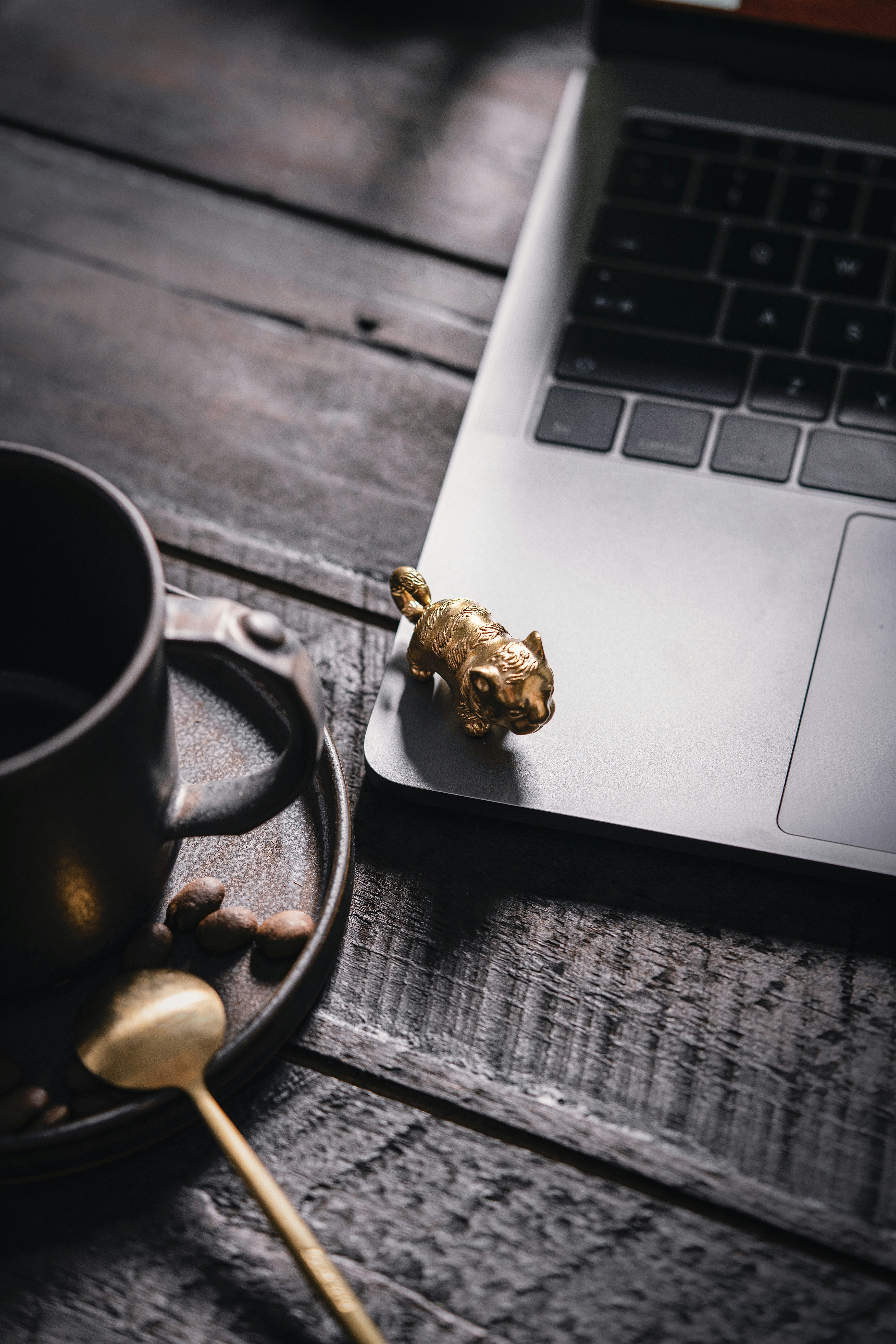 Photo by coppertistwu