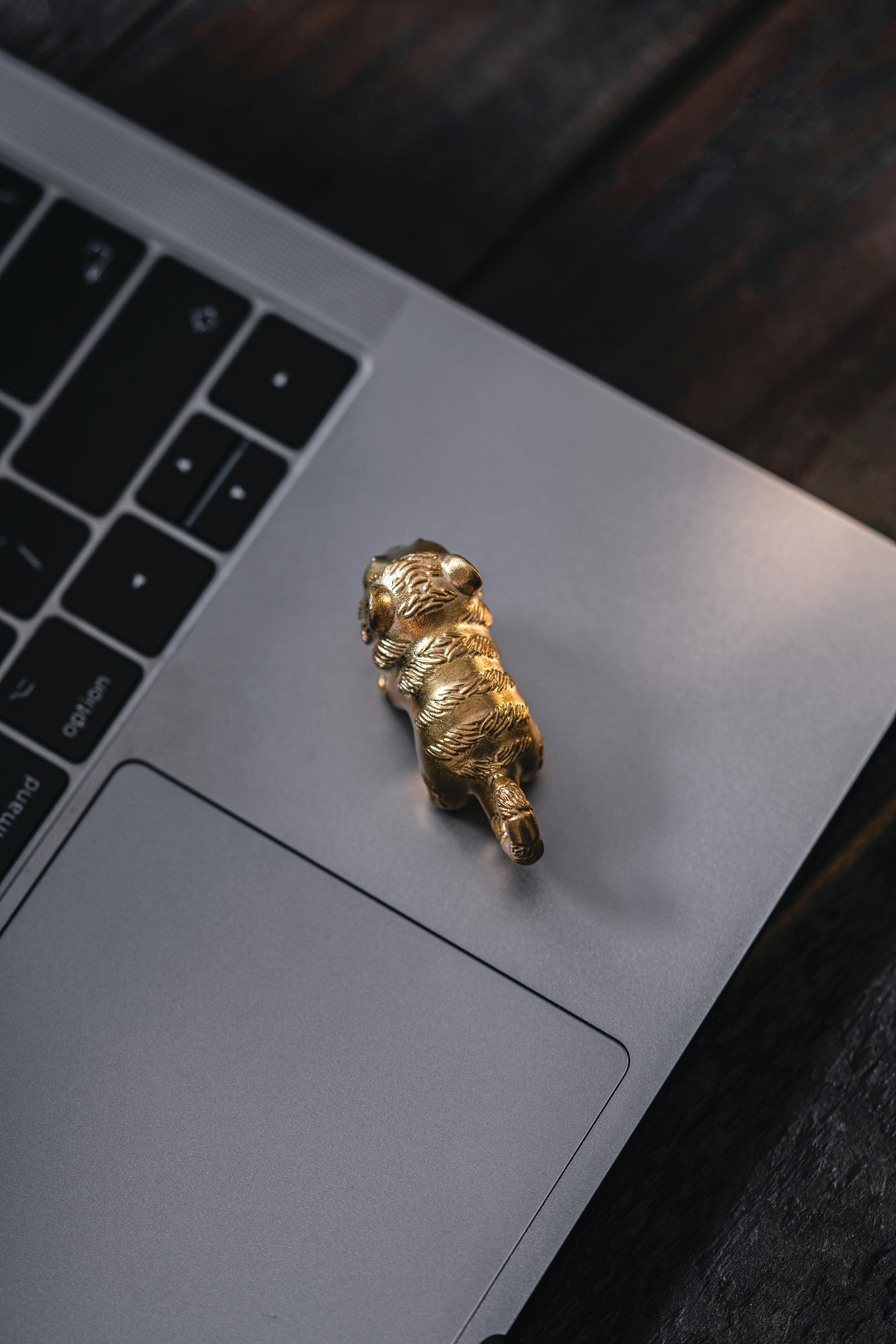 Tiger Desk Accent