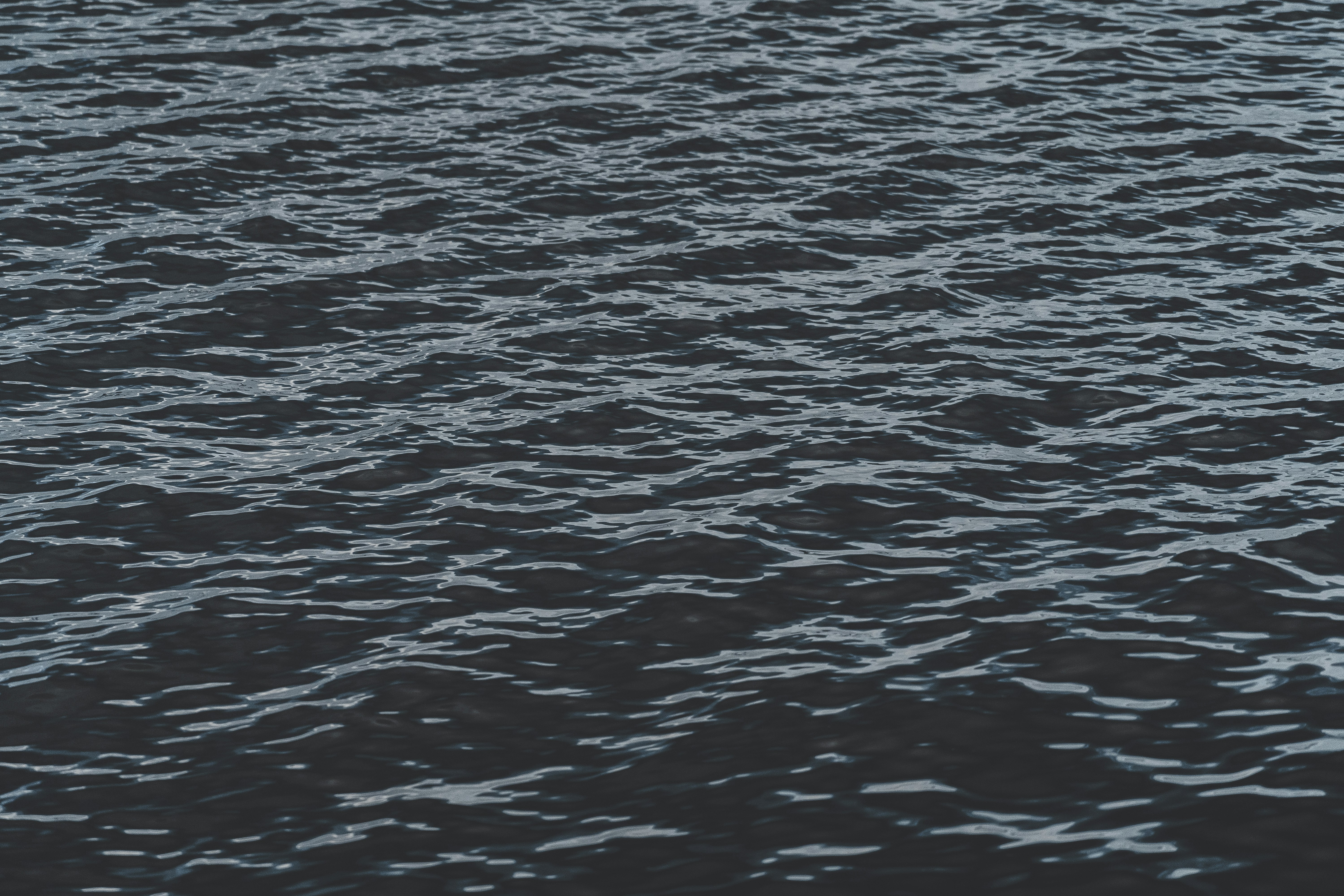 Photo by jaspergarrattphotography