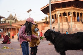 Two children wearing masks and warm clothing are feeding a black goat in an outdoor setting. The background features a historic temple made of red bricks and intricate woodwork, typical of traditional architecture. Other people are visible in the distance, indicating a busy, public space.