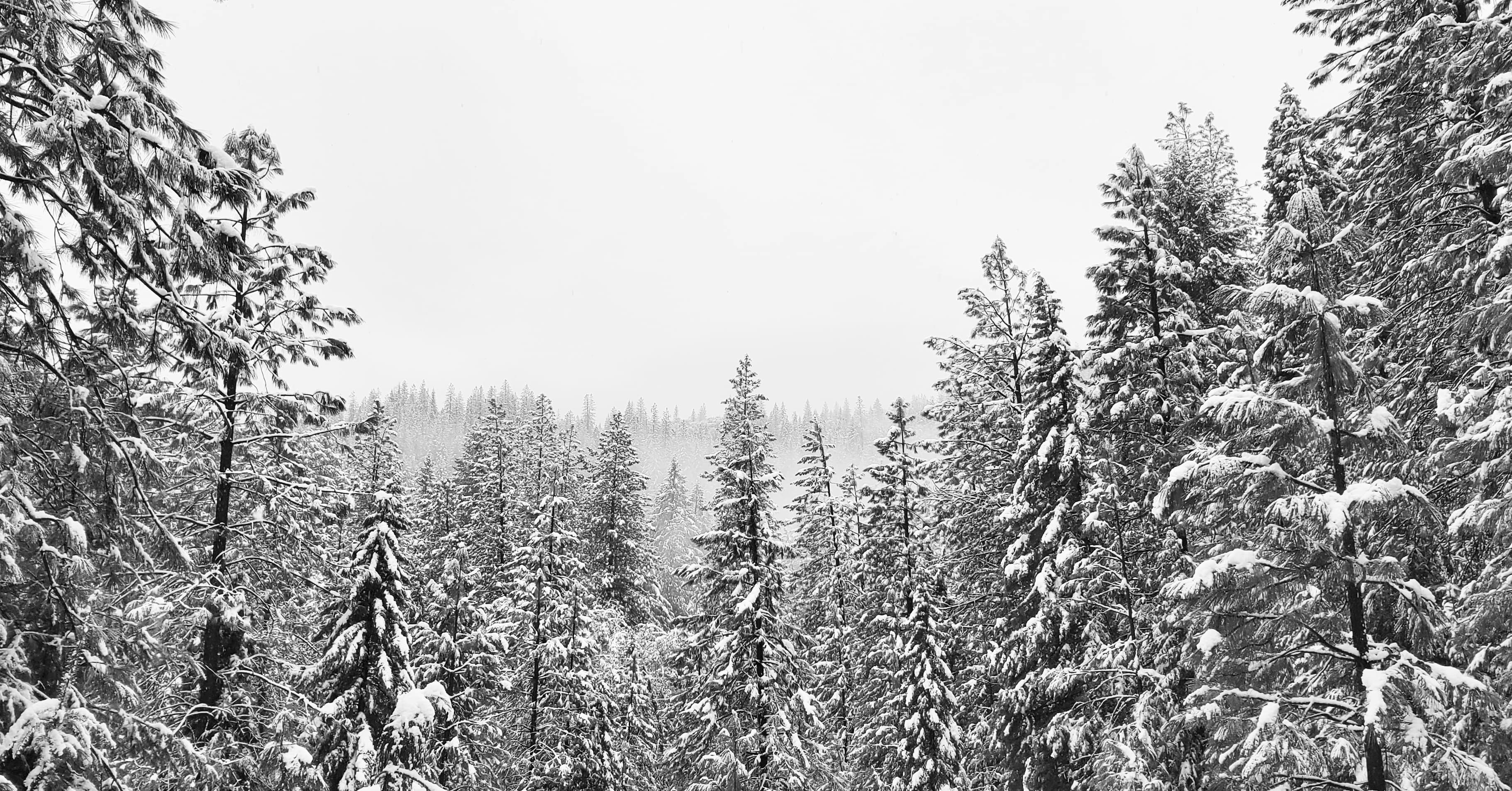 Photo by calphotospro