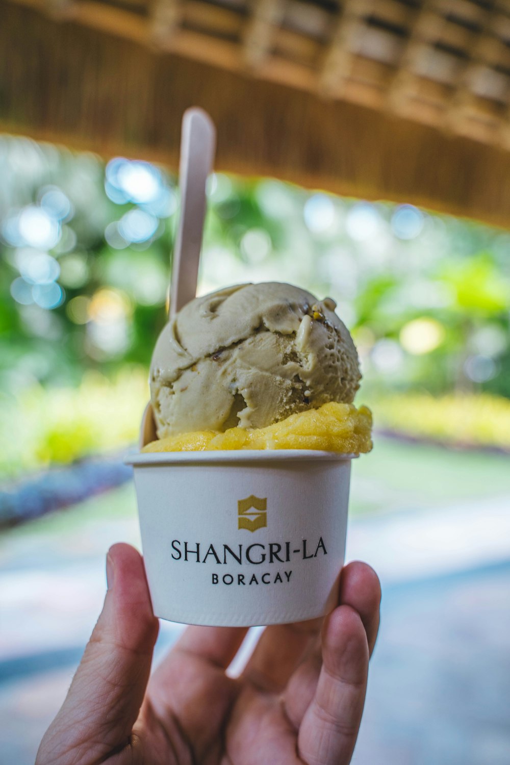 una persona sosteniendo una taza de helado