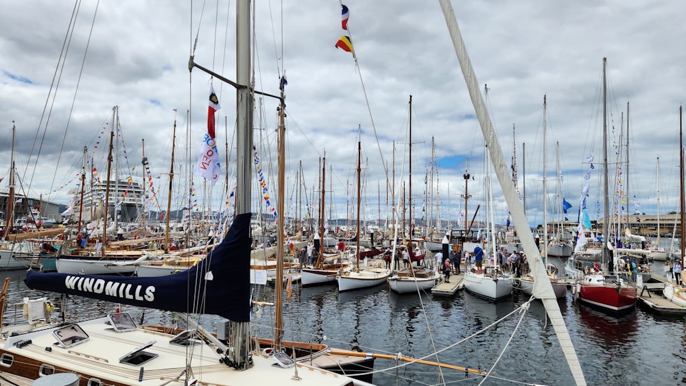 a group of sailboats docked in a harbor