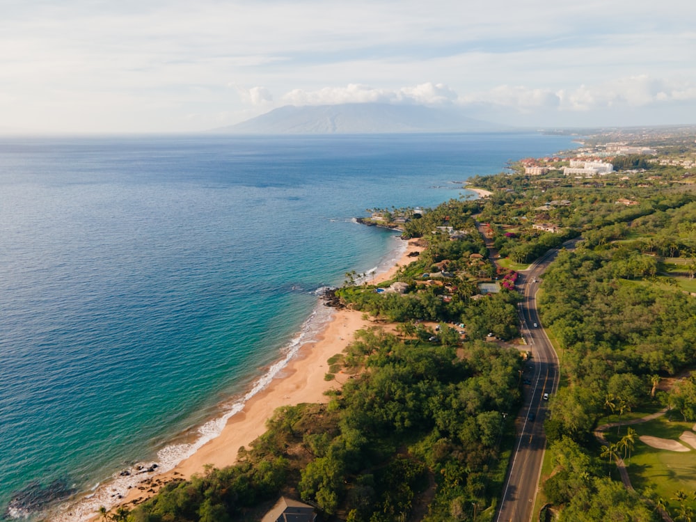 an aerial view of a beach and ocean