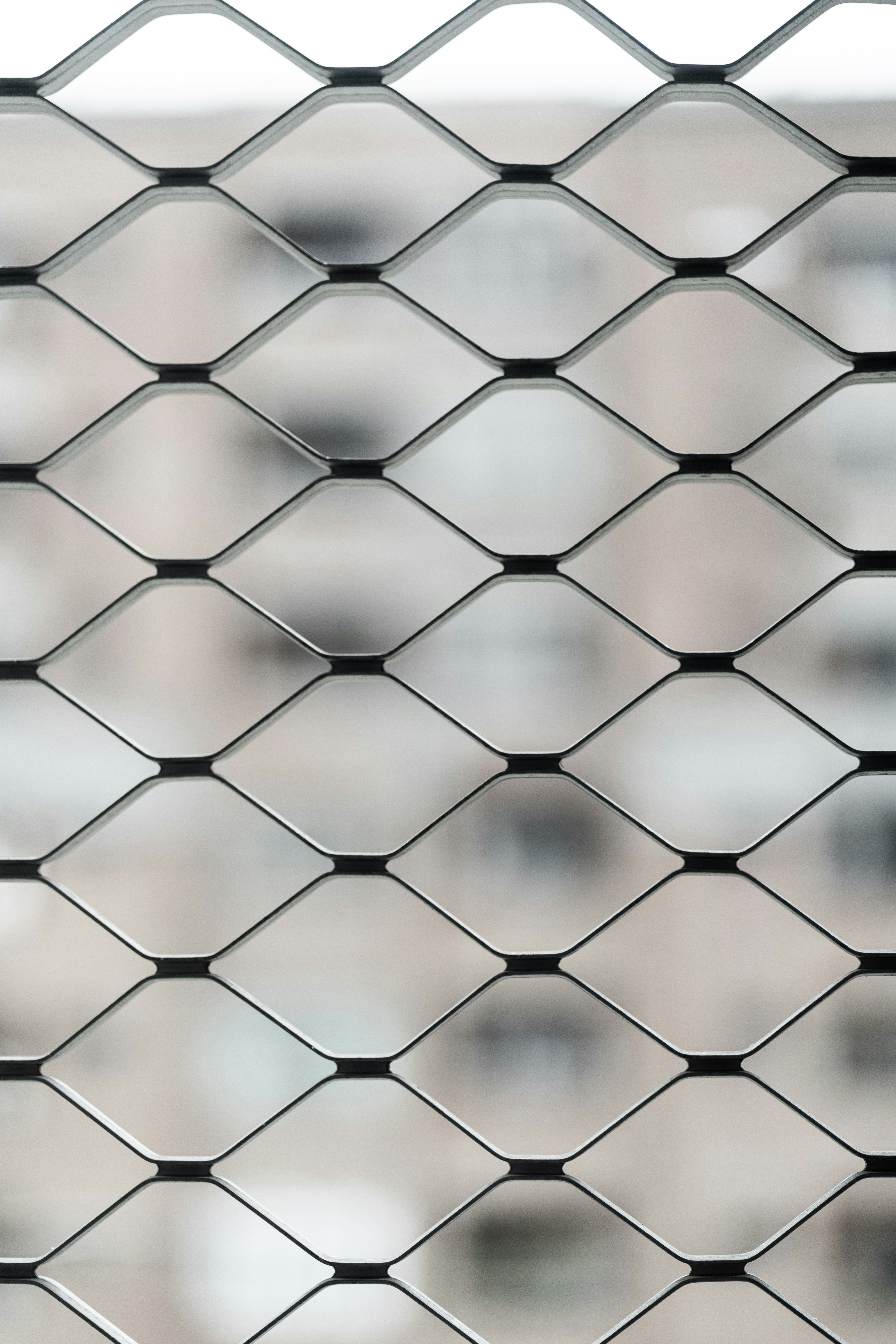 Photo by harrisonchang