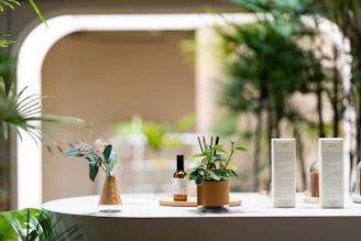 a table topped with bottles and plants on top of it