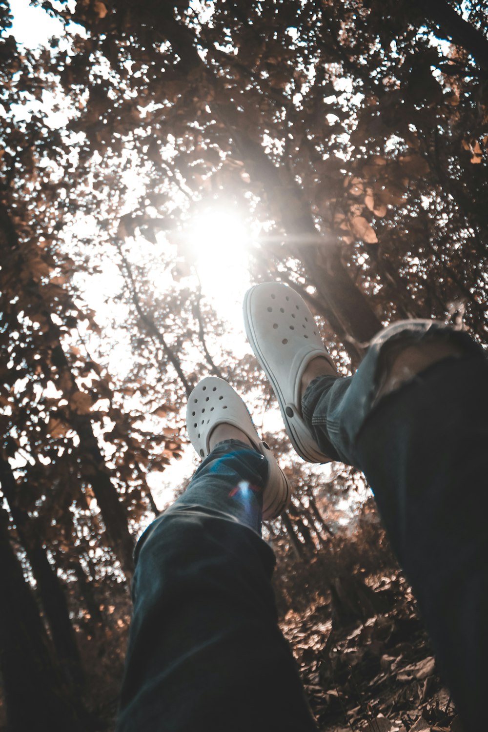 a person standing in the middle of a forest