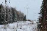 A panoramic view of a Finnish data center surrounded by snowy forests.