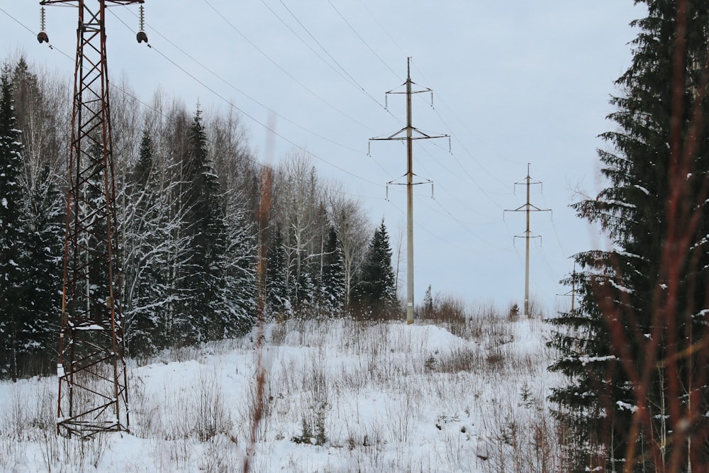 a snow covered field with power lines and trees