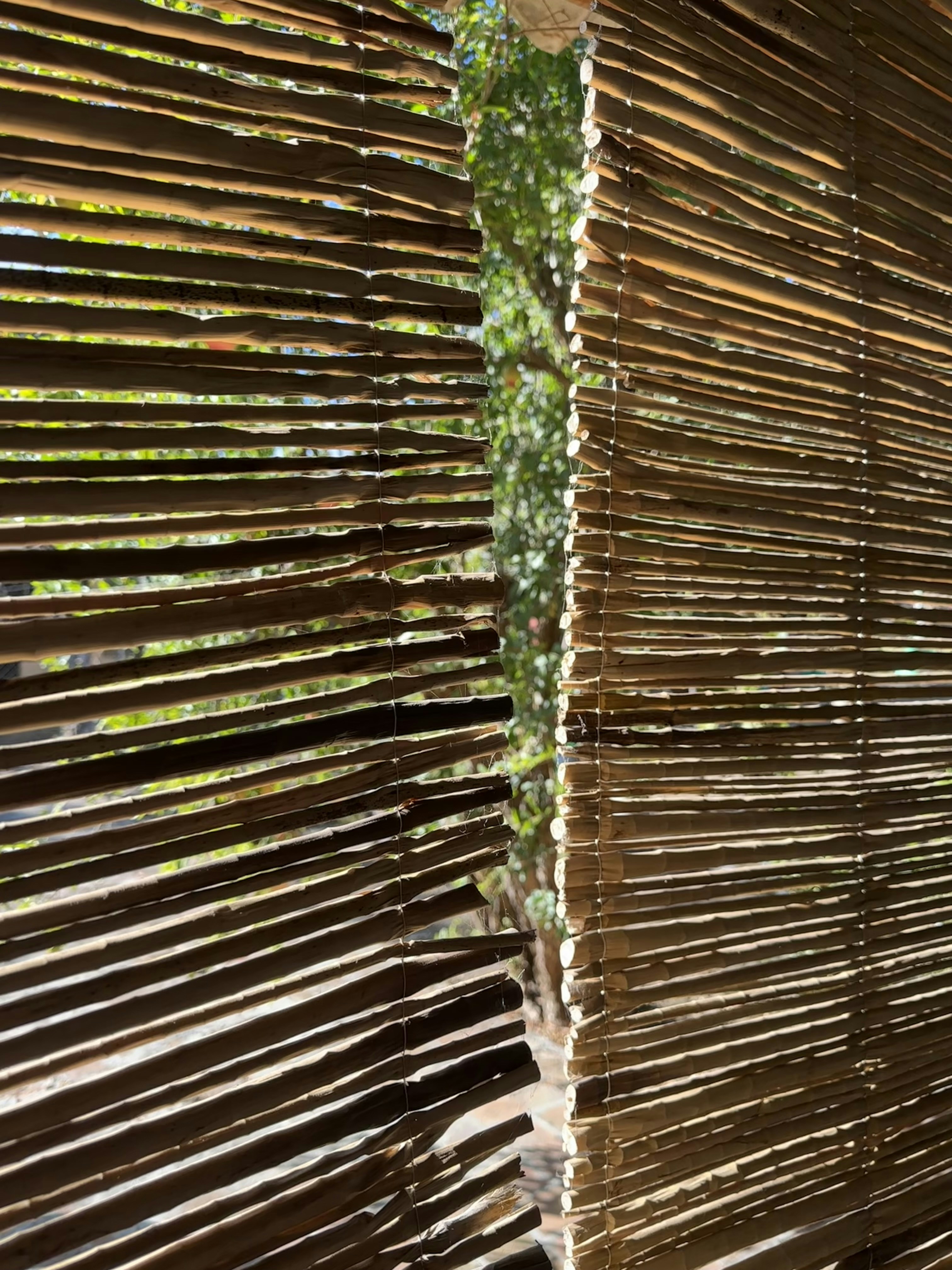 Bamboo House Frenchtown Menu