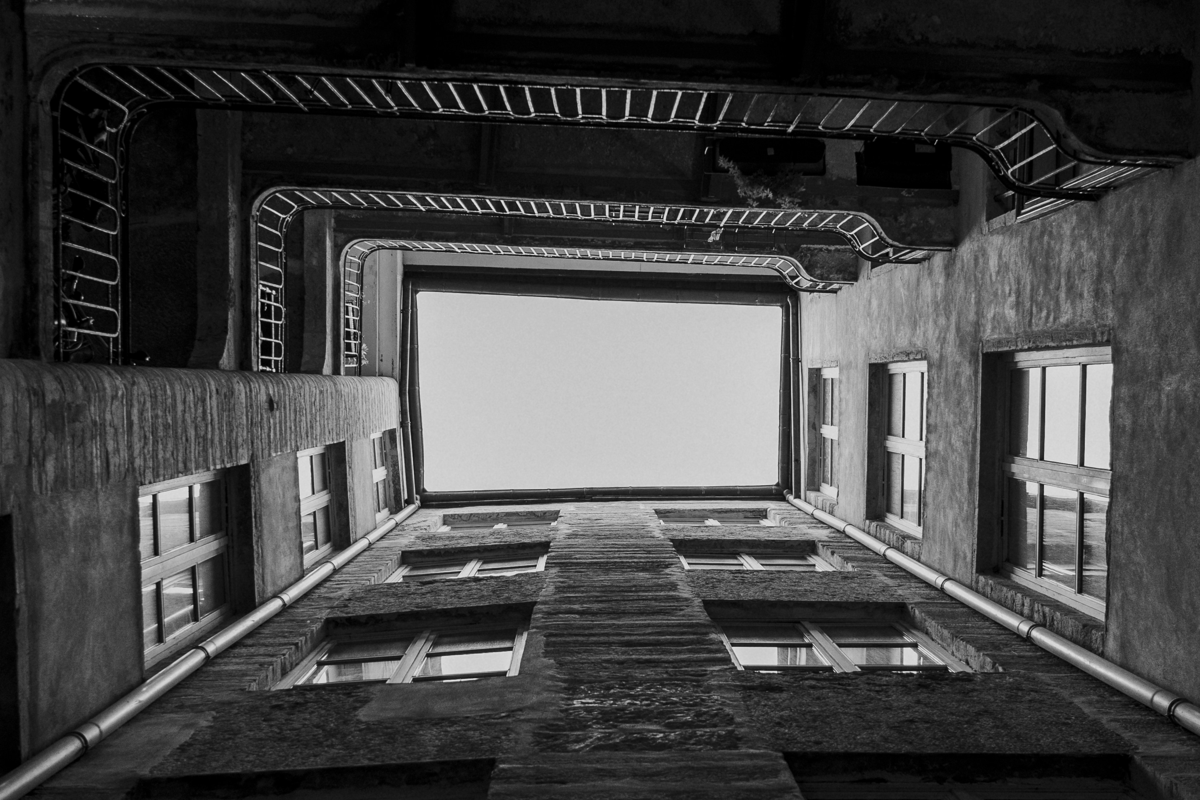 Photo by nerissa_j_photography