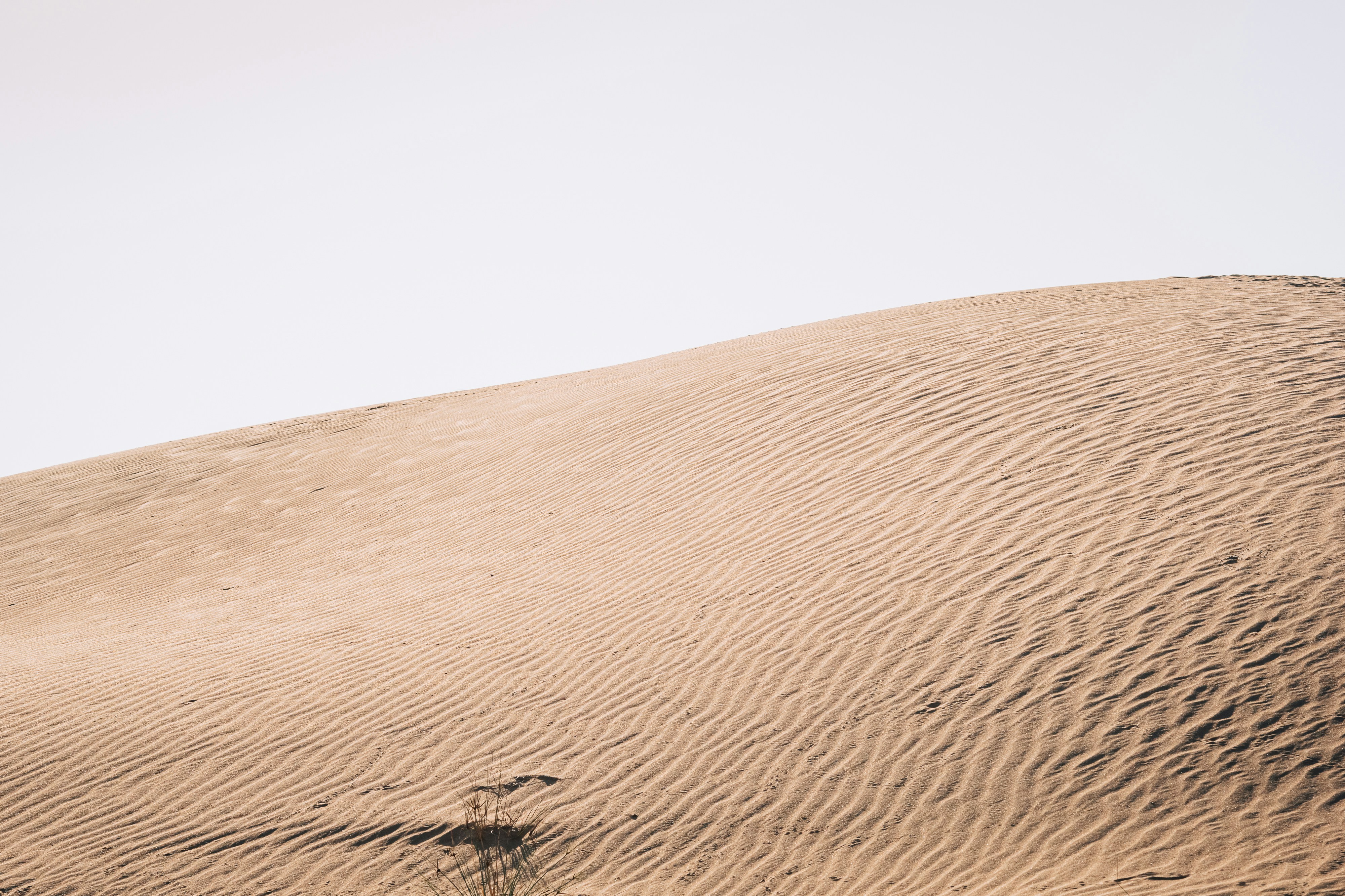 Photo by tetiana_gry