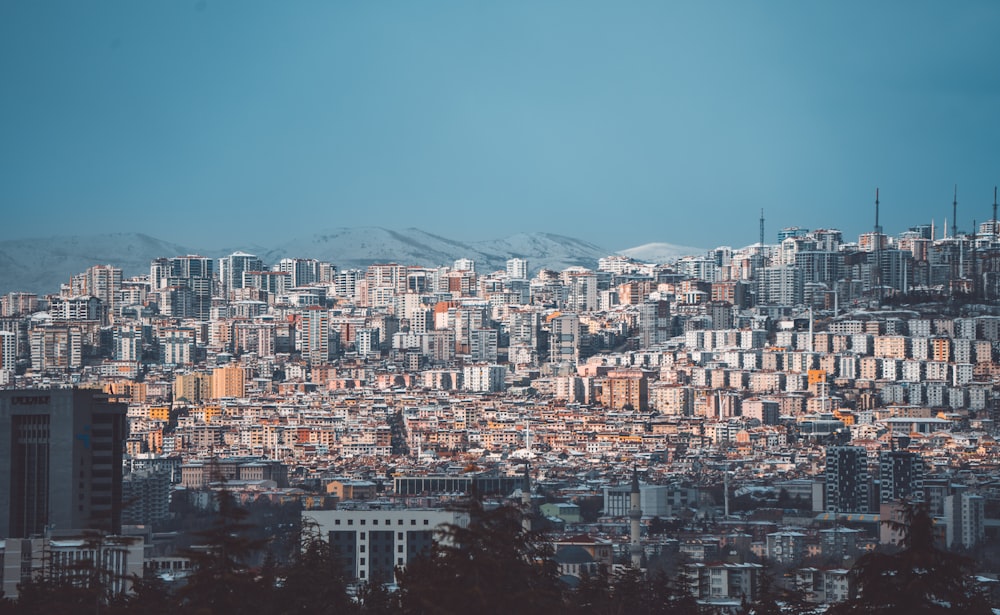 a view of a city with mountains in the background