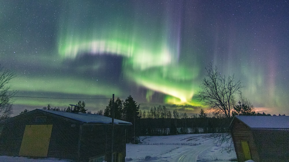 a green and purple aurora bore above a snow covered field