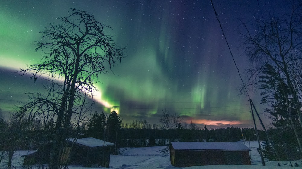 a green and purple aurora bore is in the sky