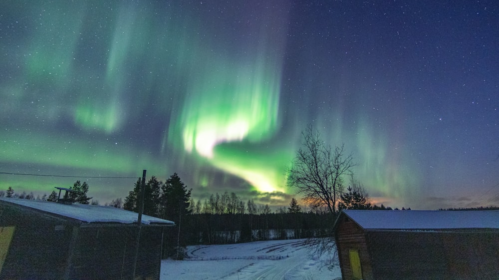 a green and purple aurora over a snow covered field