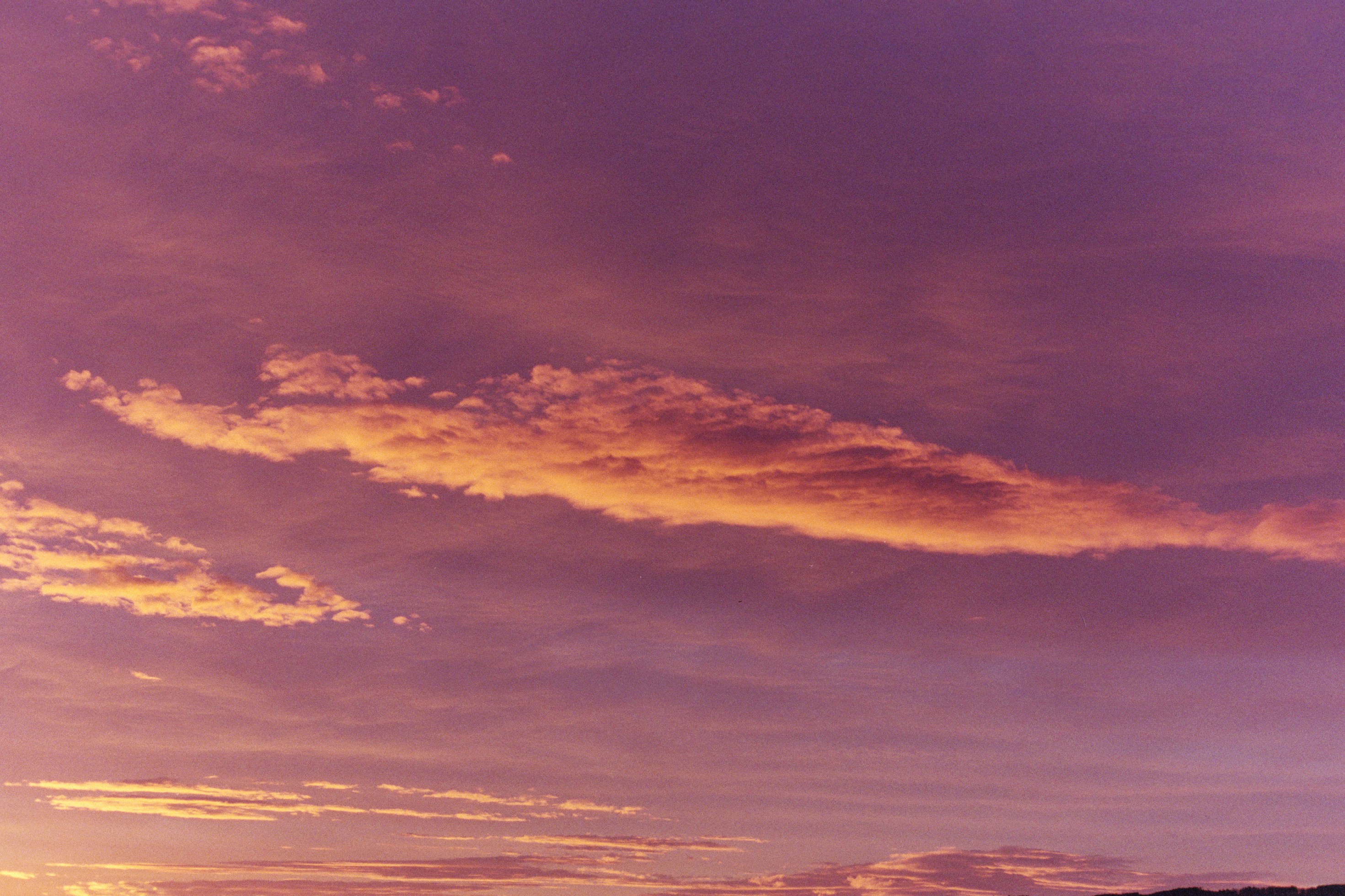 Photo by laurenceziegler