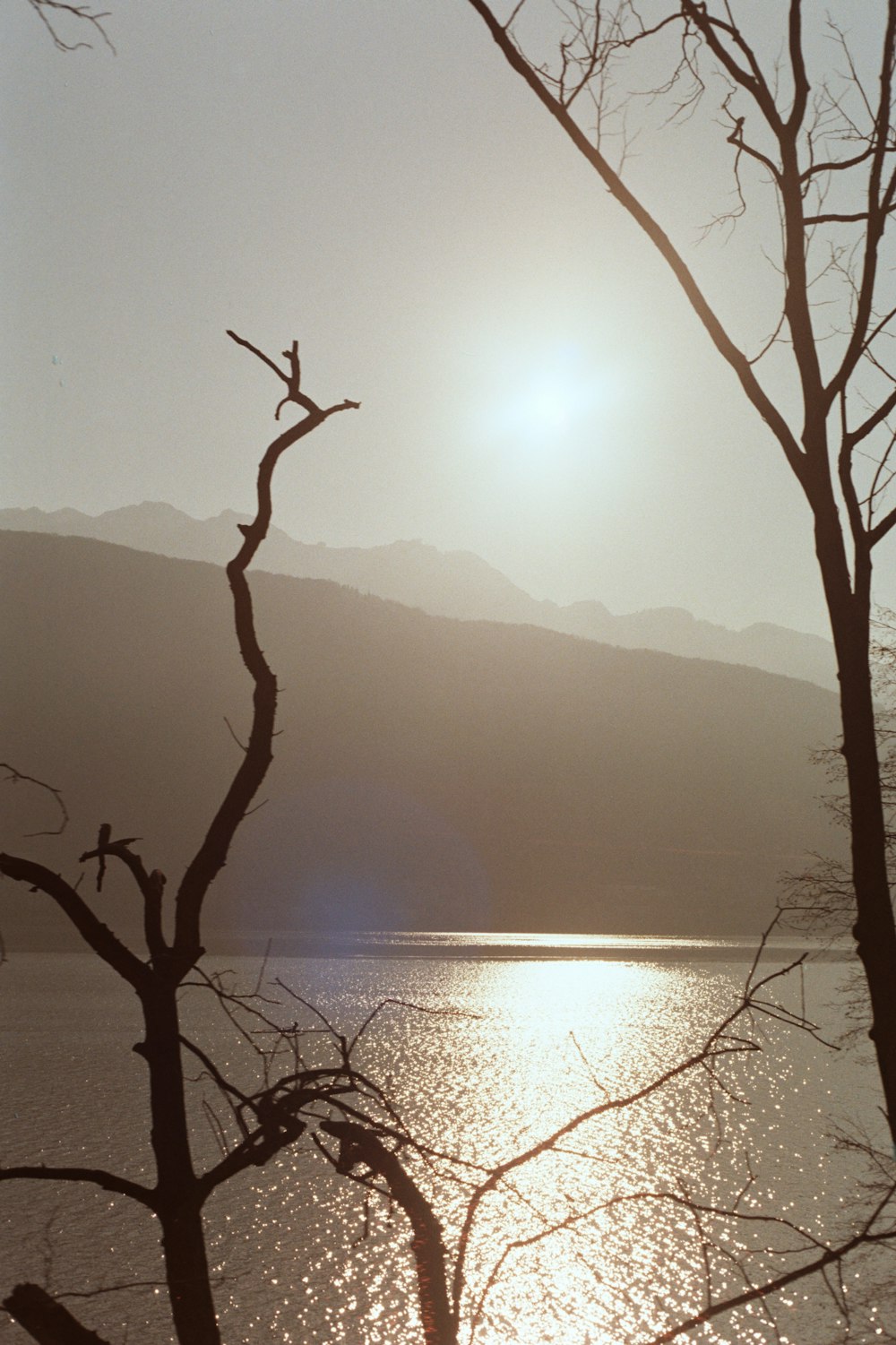 the sun is shining over a lake with trees in the foreground