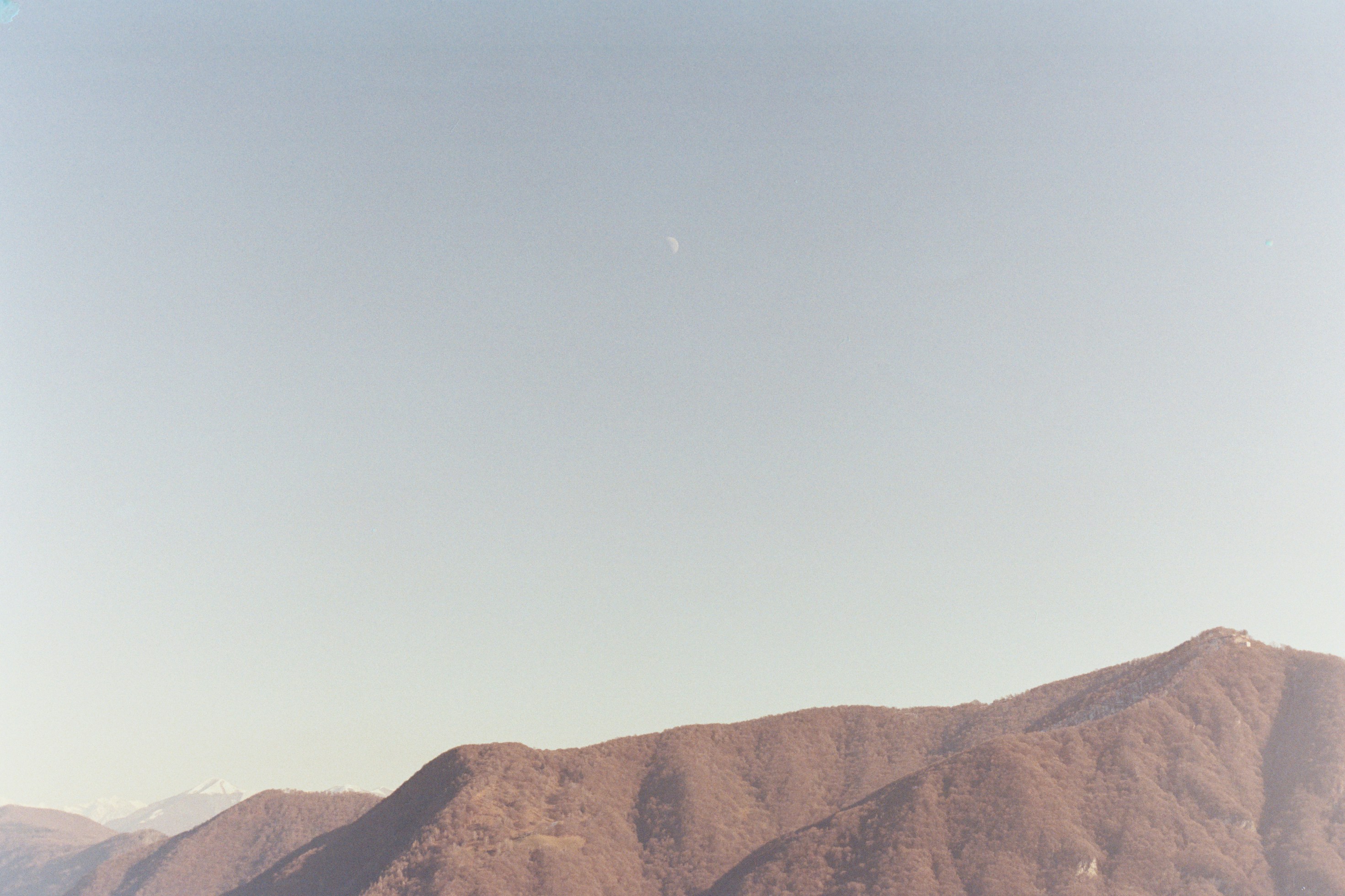 Photo by laurenceziegler