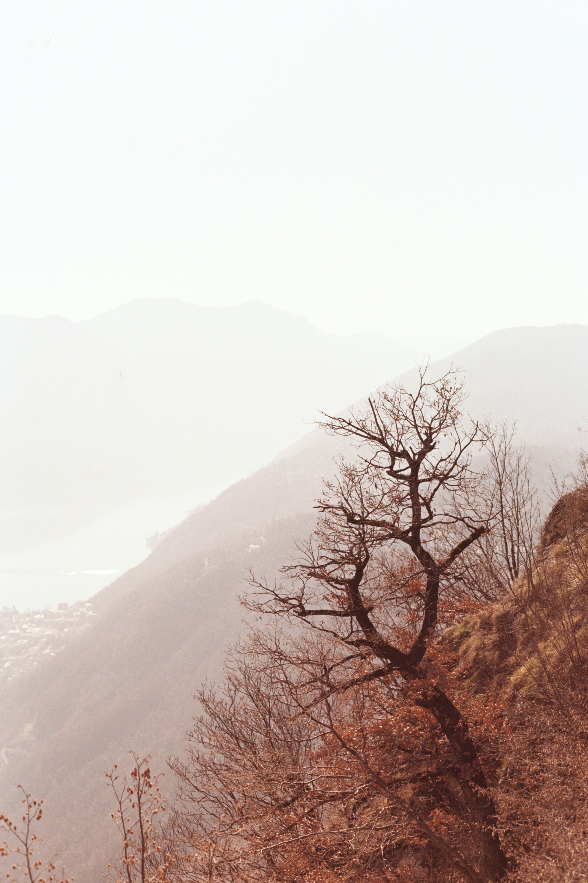 Photo by laurenceziegler