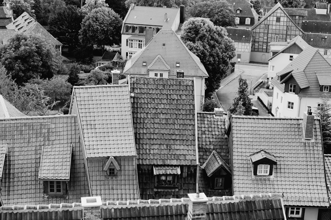 a black and white photo of rooftops and houses,