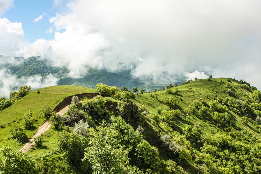 a lush green hillside covered in clouds and trees