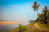Peaceful riverside landscape near Yamoussoukro with lush greenery.