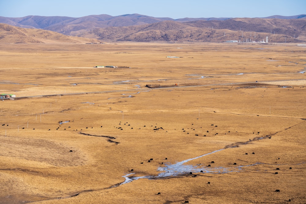 an aerial view of a desert with mountains in the background