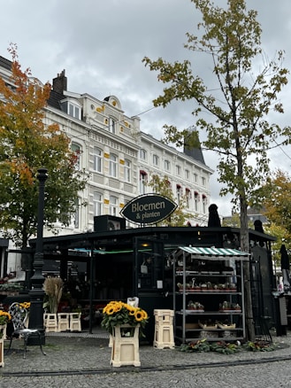 A charming flower shop with a sign reading 'Bloemen & planten' situated on a cobblestone street. The shop is adorned with vibrant sunflowers and various potted plants. Trees with autumn-colored leaves frame the scene, alongside a decorative metal chair and vintage white building in the background.