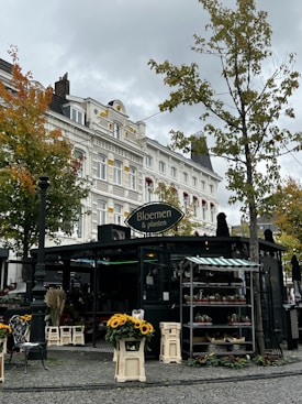 A charming flower shop with a sign reading 'Bloemen & planten' situated on a cobblestone street. The shop is adorned with vibrant sunflowers and various potted plants. Trees with autumn-colored leaves frame the scene, alongside a decorative metal chair and vintage white building in the background.