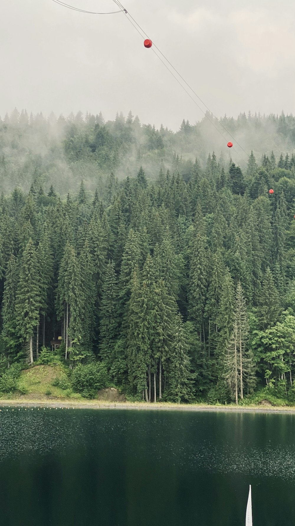 a sail boat floating on top of a lake next to a forest