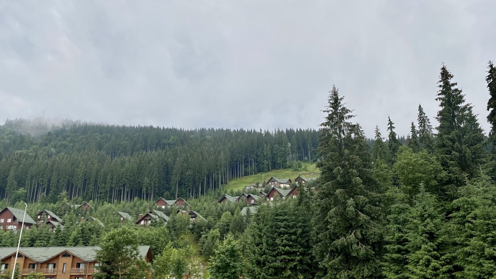 Un groupe de maisons assises au sommet d’une colline verdoyante