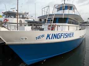 A large blue and white boat named 'New Kingfisher' is docked at a marina. The boat has multiple decks and is equipped with various nautical equipment. A lifebuoy is attached to the front railing.
