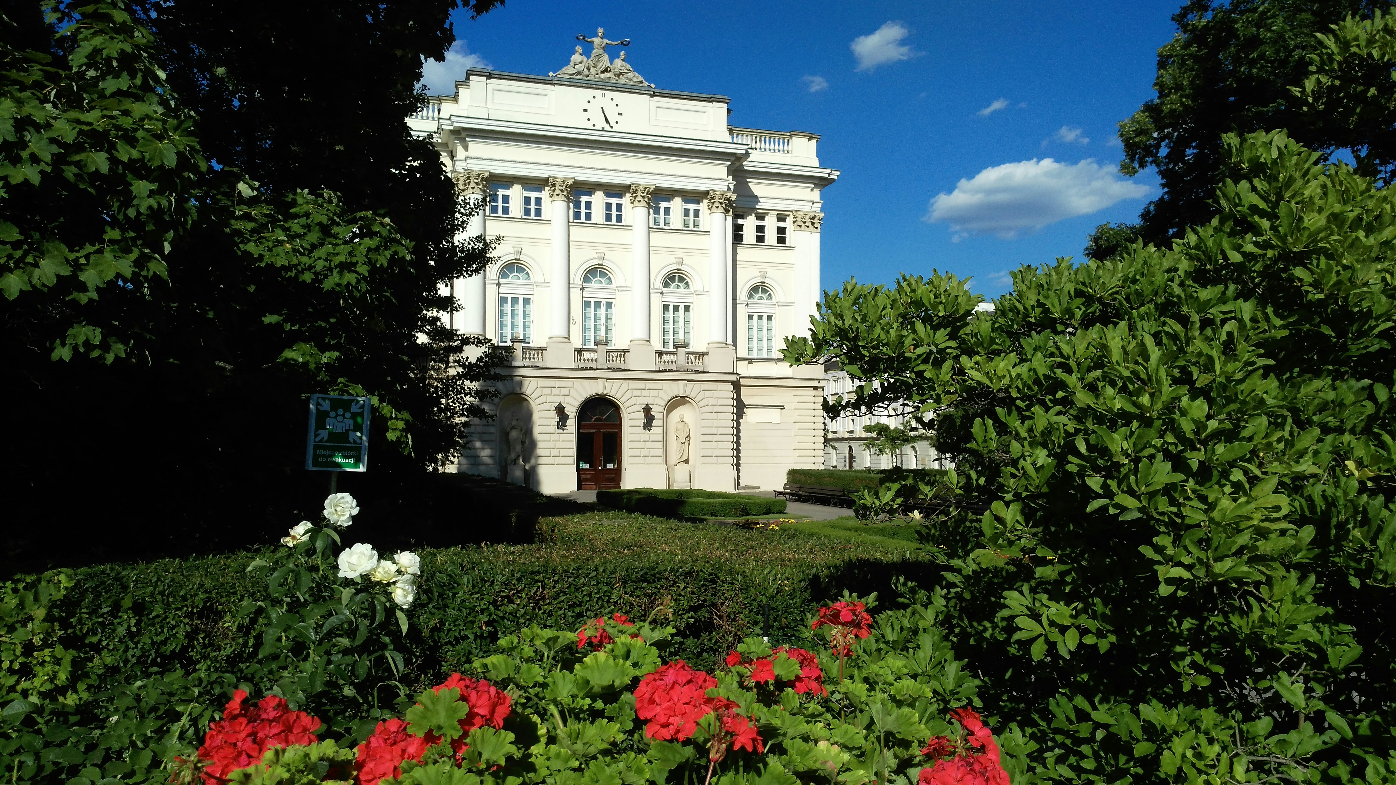 Photo by olesia_libra