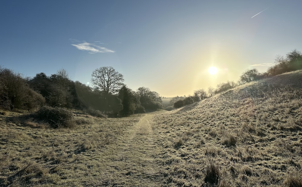 the sun is setting over a grassy hill