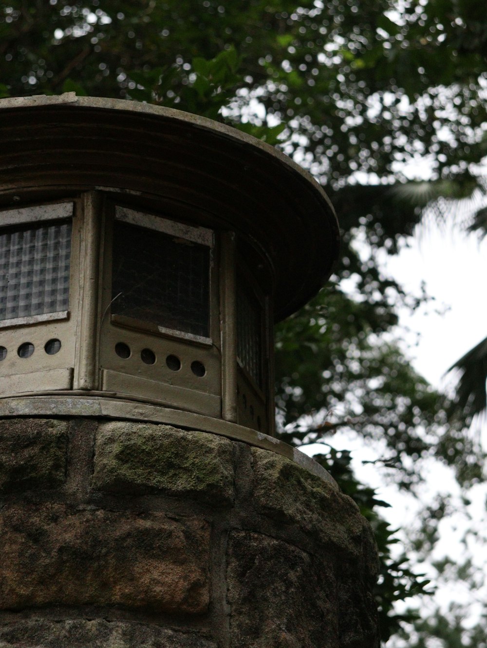 木々を背景に時計塔のクローズアップ