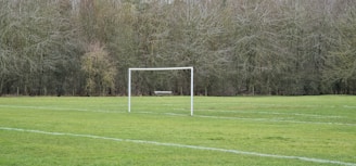 A football field with a single goal post stands in front of a dense backdrop of leafless trees. The grass is neatly marked with white lines, indicating the boundaries and areas of the field. A solitary bench is visible in the distance, adding a sense of isolation to the setting.