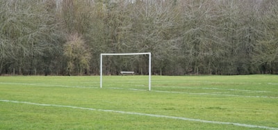 A football field with a single goal post stands in front of a dense backdrop of leafless trees. The grass is neatly marked with white lines, indicating the boundaries and areas of the field. A solitary bench is visible in the distance, adding a sense of isolation to the setting.