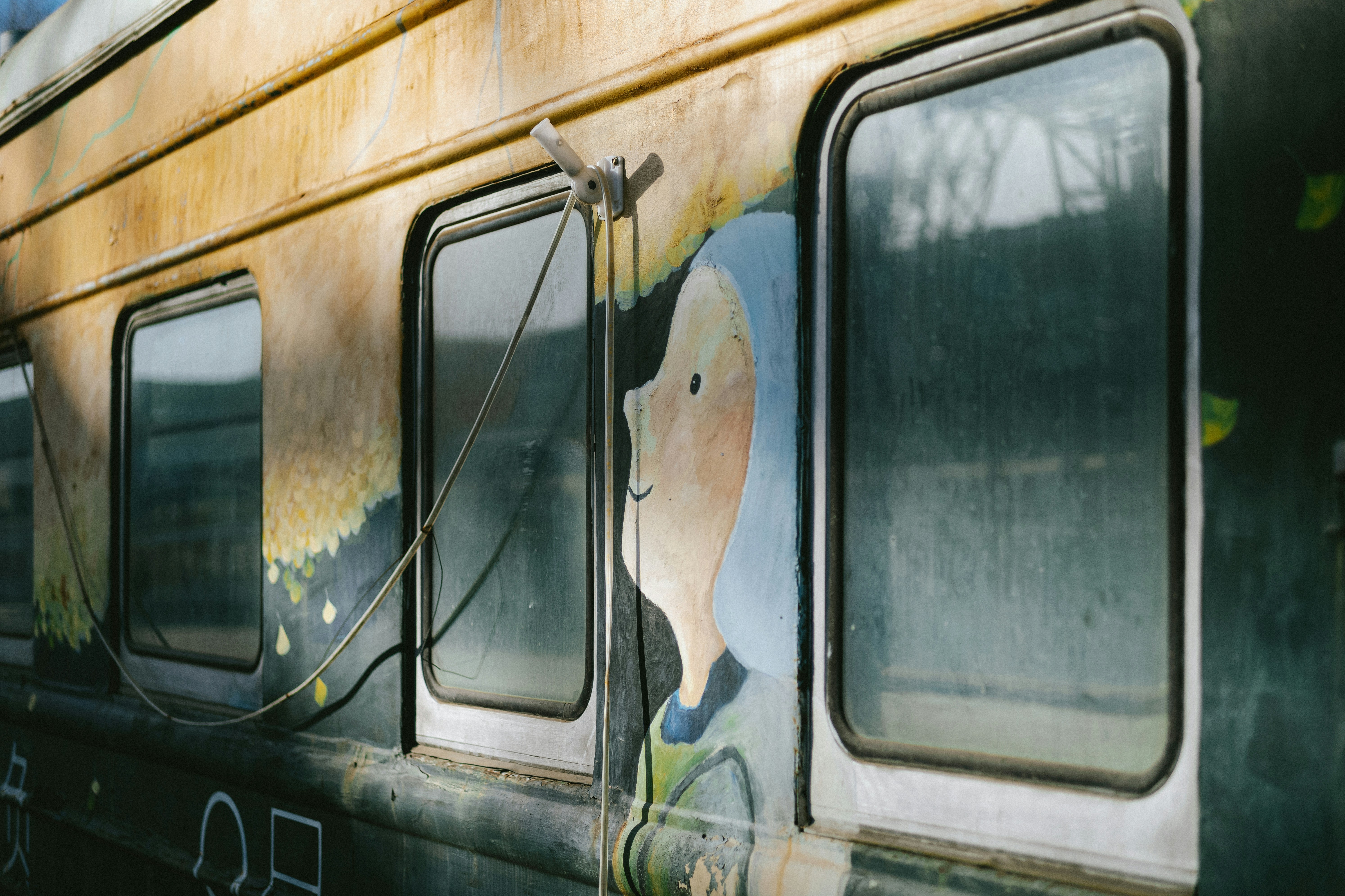 Photo by tommaomaoer