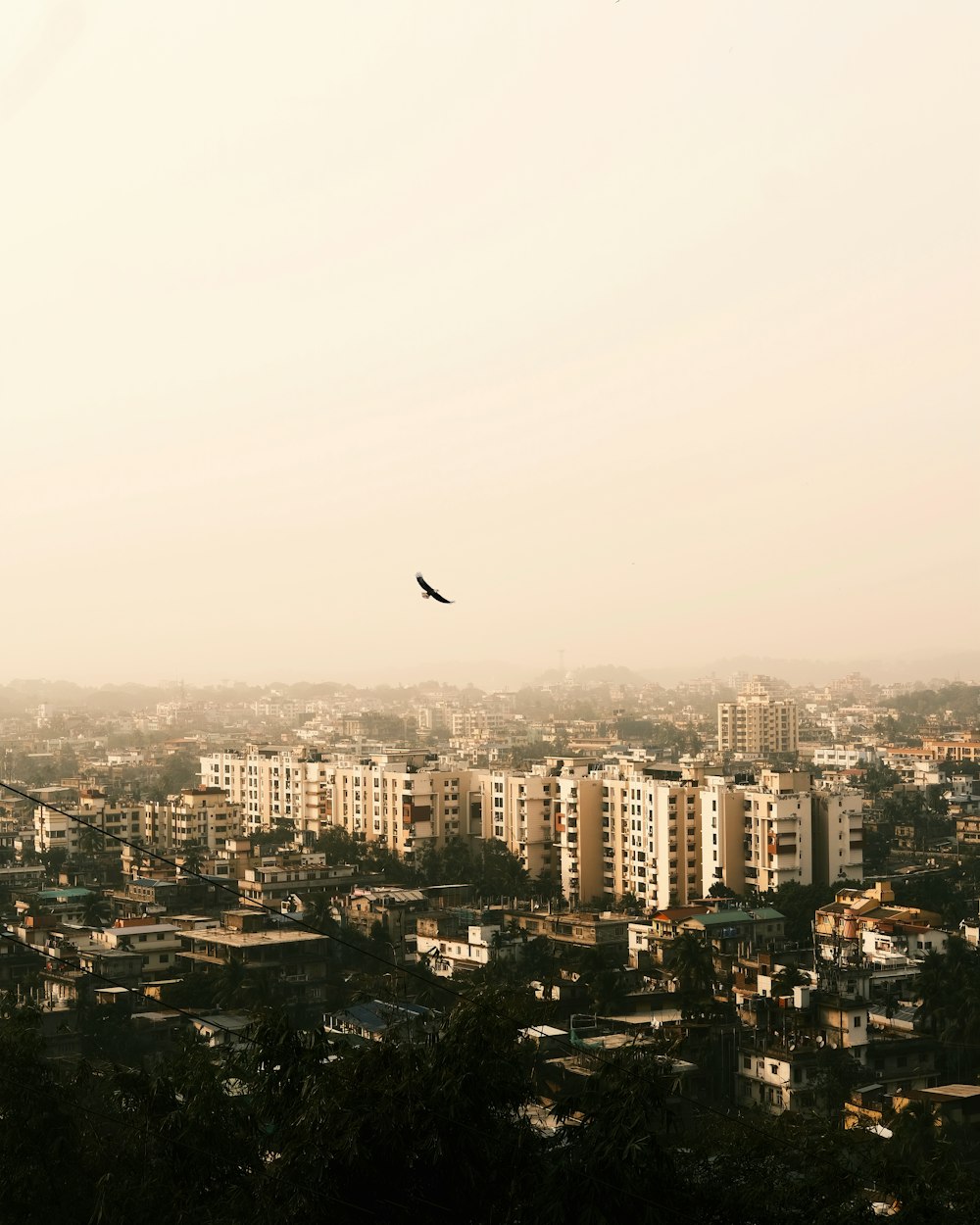a bird flying over a city with tall buildings