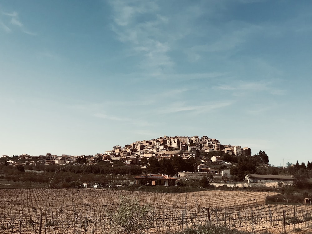 a hill with a village on top of it