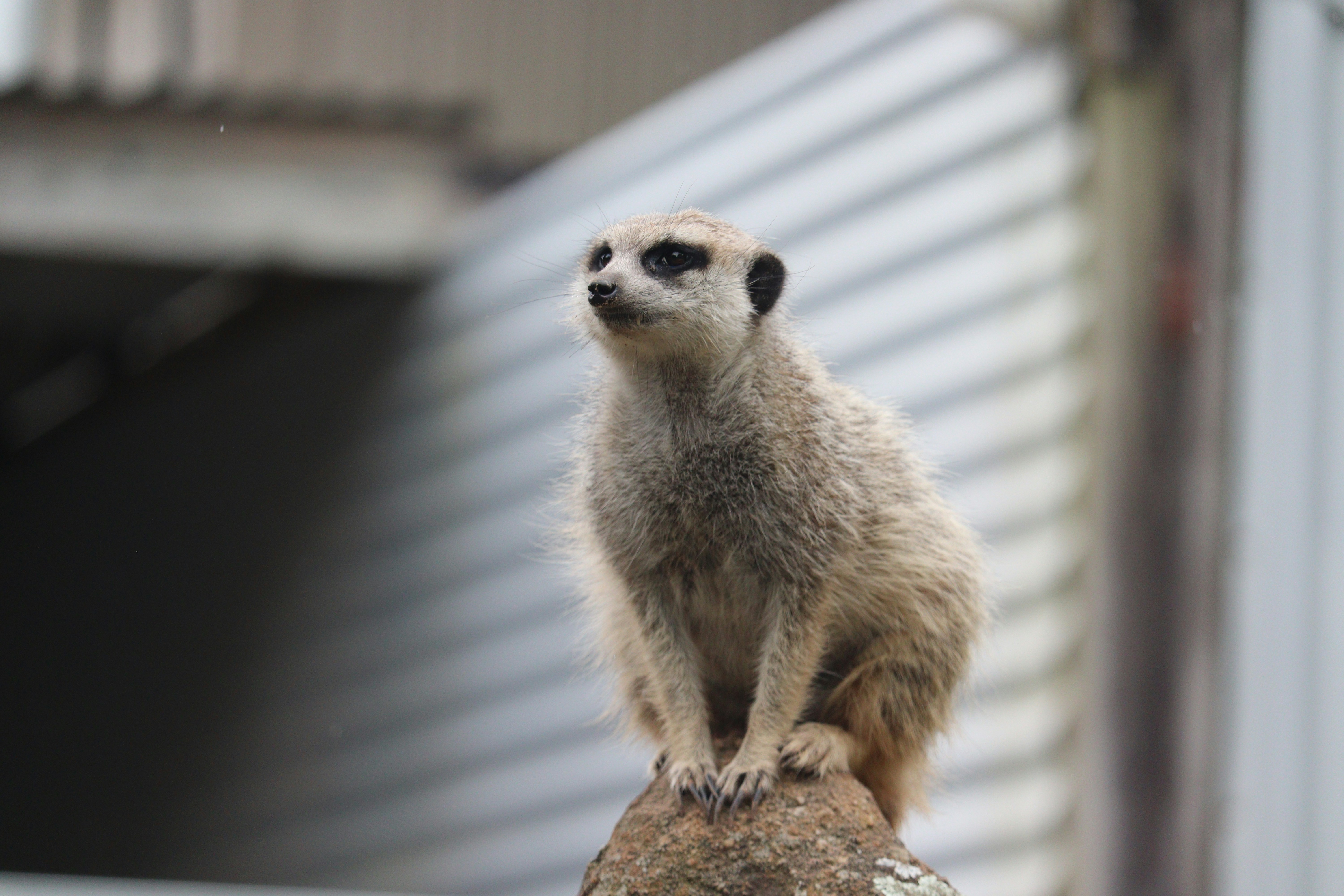 Photo by sandeepsapkota