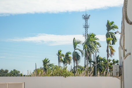 A telecommunications tower stands tall amidst swaying palm trees under a bright, partly cloudy sky. The scene seems to capture a tropical or coastal area with vegetation lining the image, suggesting a warm and breezy environment.