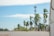 A telecommunications tower stands tall amidst swaying palm trees under a bright, partly cloudy sky. The scene seems to capture a tropical or coastal area with vegetation lining the image, suggesting a warm and breezy environment.