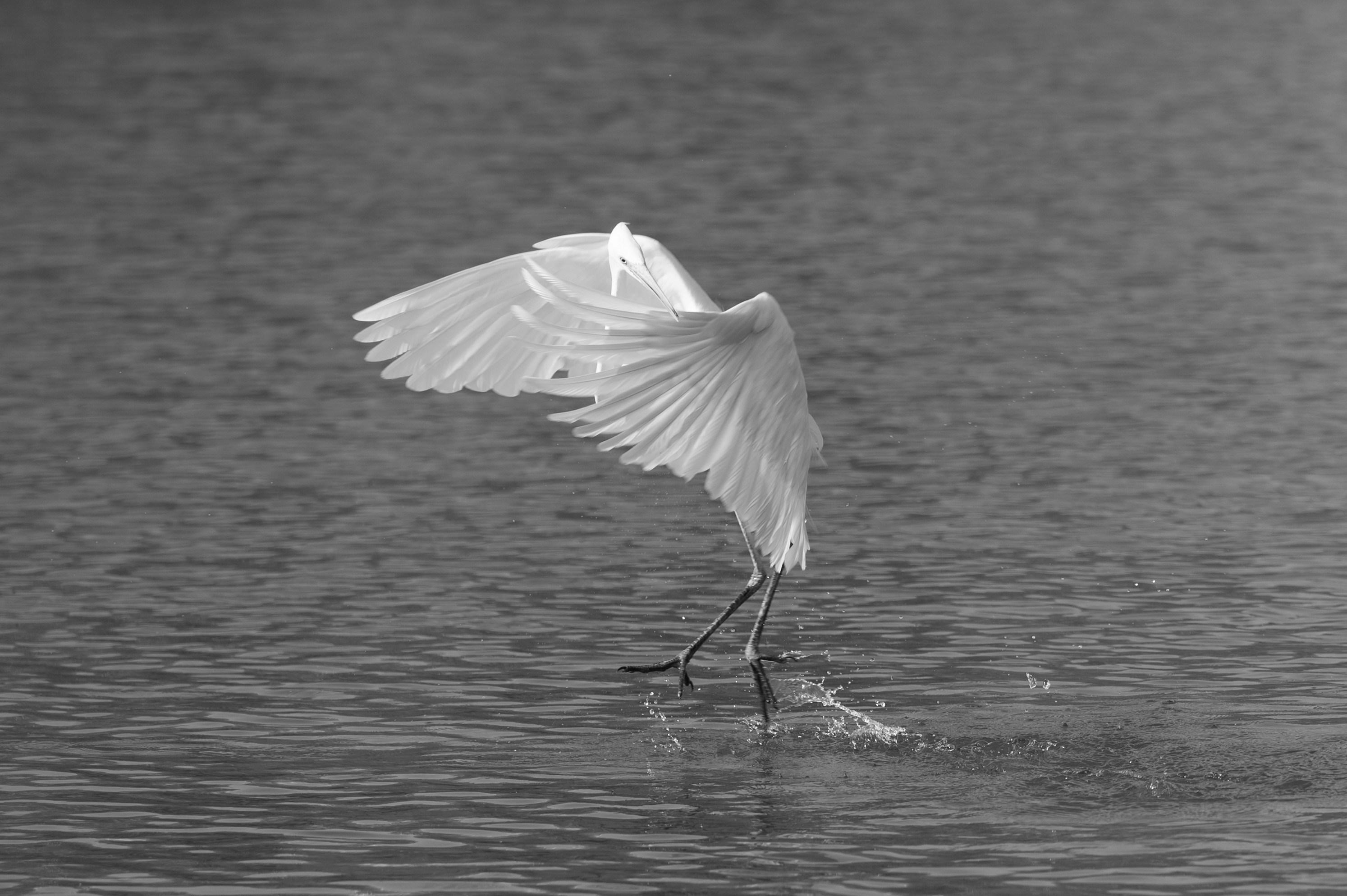 Photo by tyutjackliu