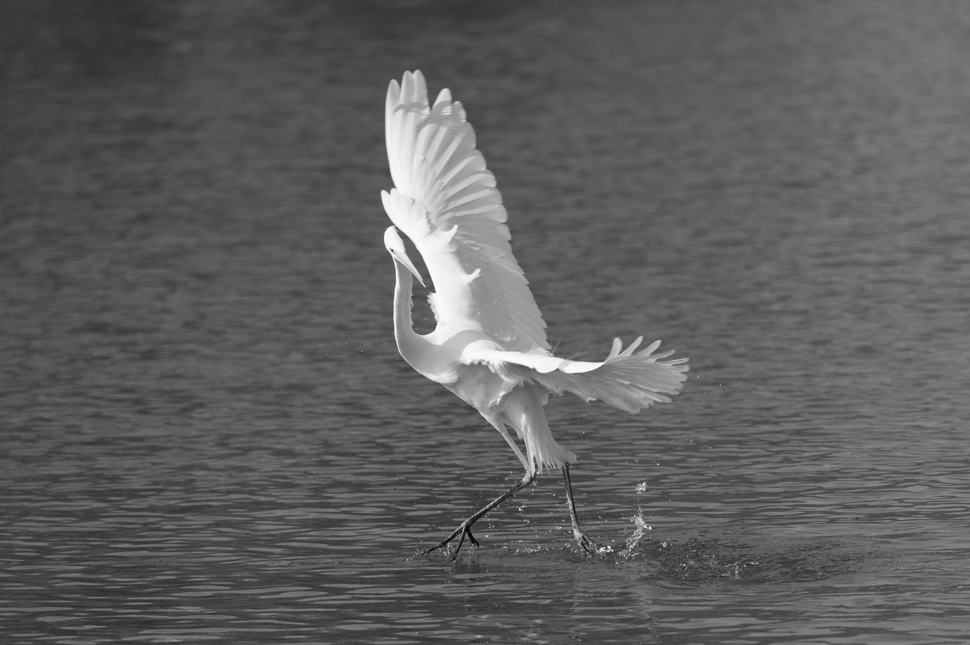 Photo by tyutjackliu